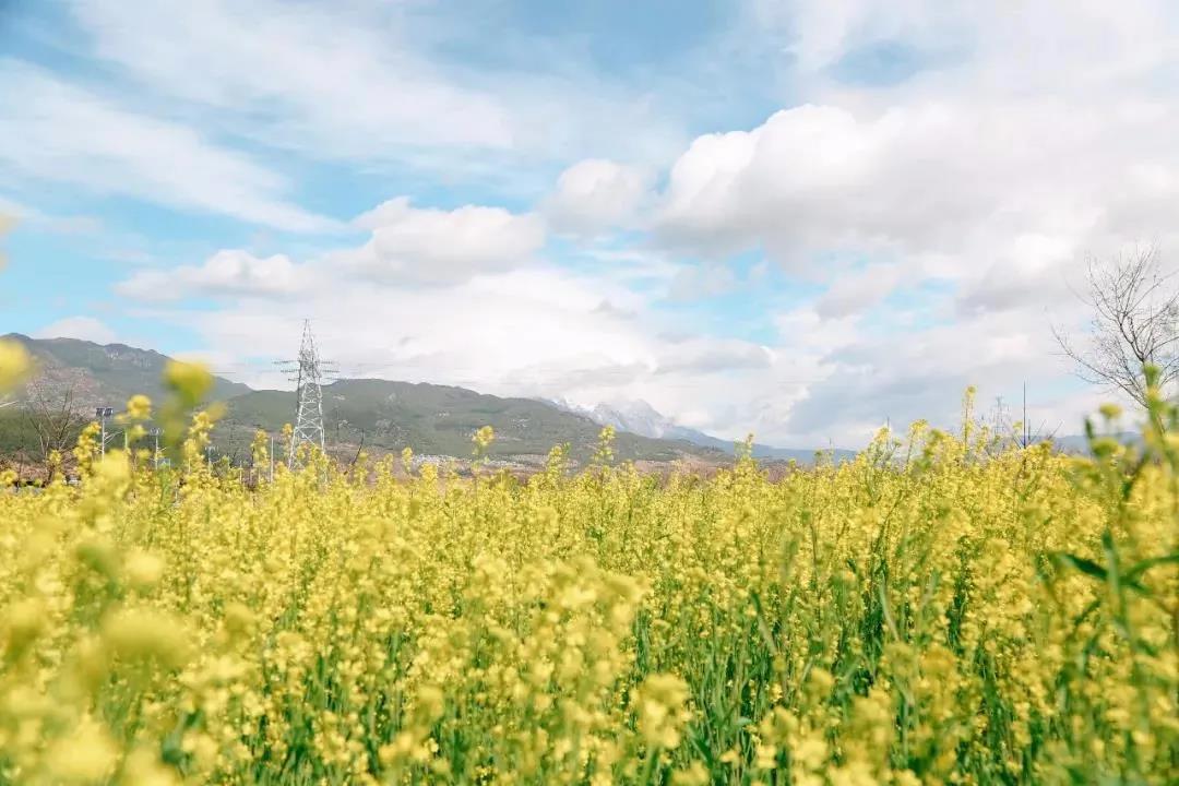 多彩麗江，村游正當(dāng)時，約起來！