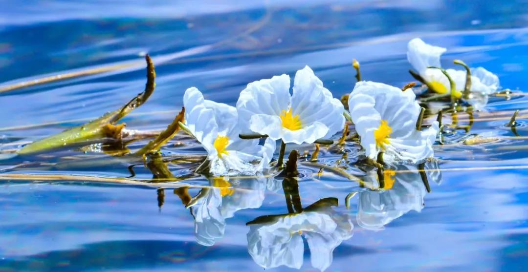 糟糕！瀘沽湖的“水性楊花”，讓我有了心動的感覺！